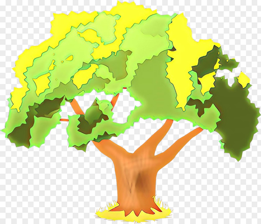 Map Plant Oak Tree Drawing PNG