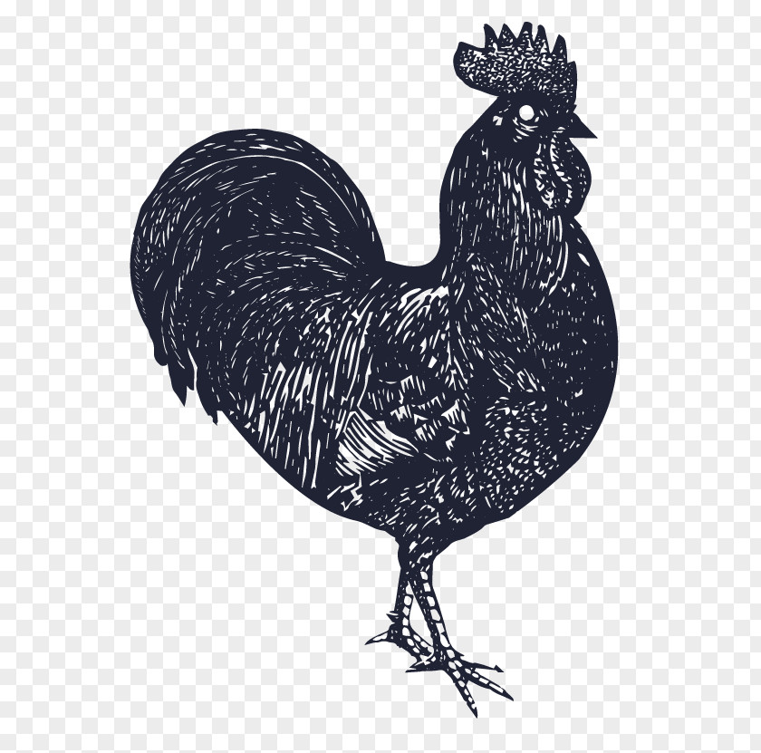 Chicken Rooster Rotisserie Dodo PNG