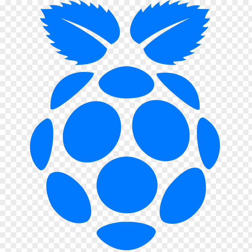 Raspberries Raspberry Pi Raspbian Installation PNG