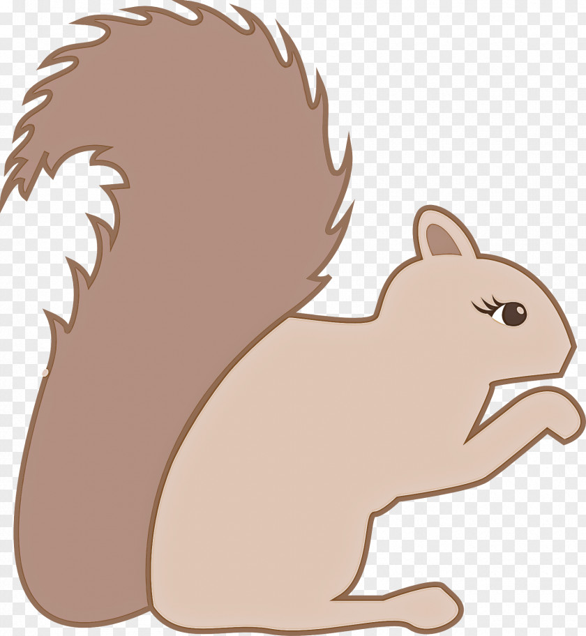 Squirrel Cartoon Beaver Tail PNG