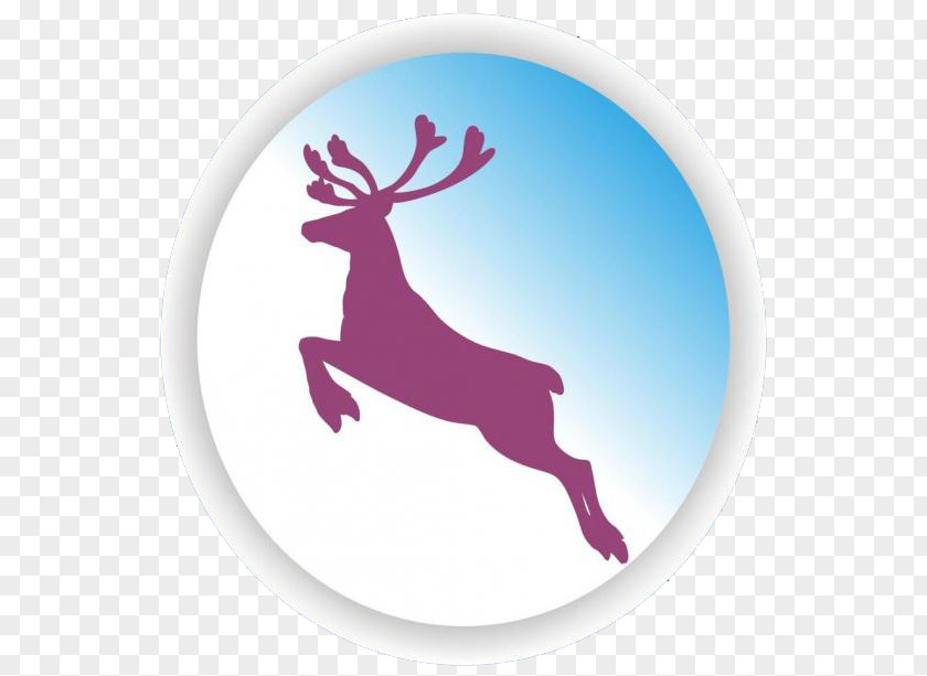 Tame,deer Reindeer PNG