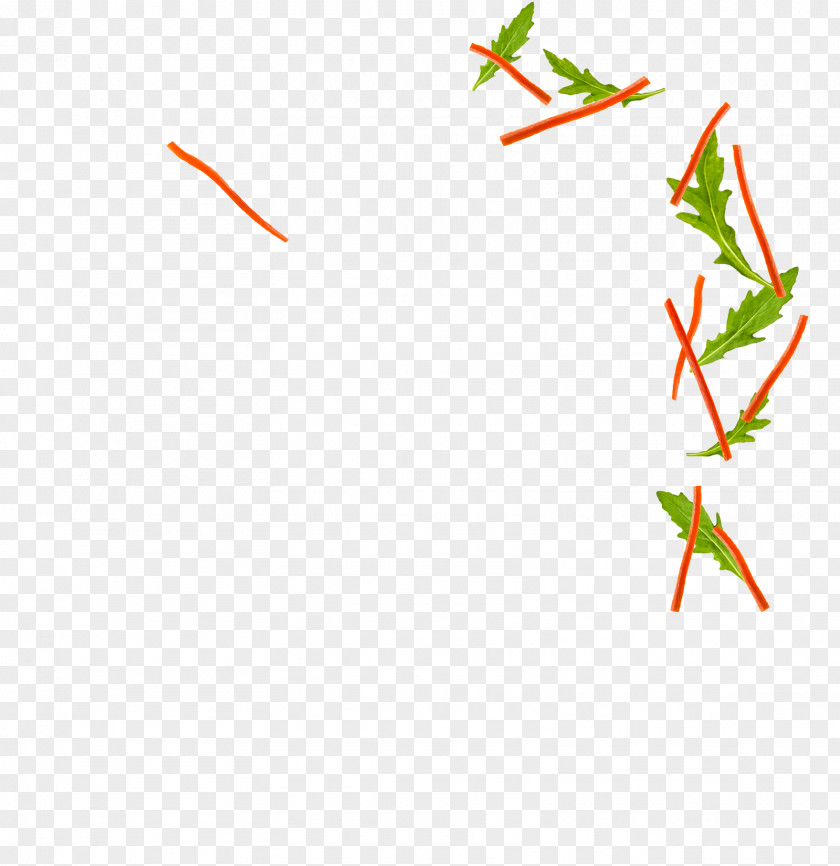 Line Leaf Angle Plant Stem Clip Art PNG