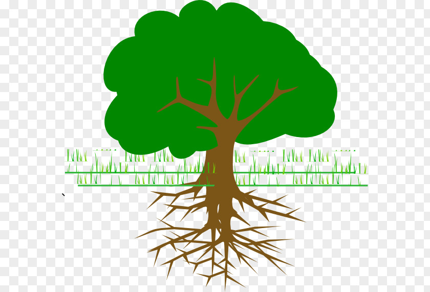 Tree Le Premier Jour Du Reste De Ma Vie Branch Clip Art PNG