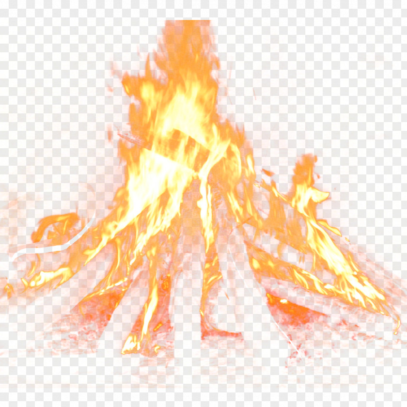 Bonfire Flames Chambal Garden Fire Flame PNG