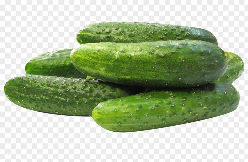 Cucumber Pickled Spreewald Gherkins Vegetable Shelf Life PNG