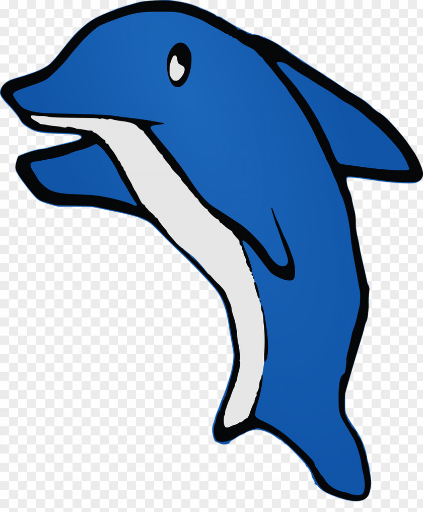 Dolphin Drawing Clip Art PNG