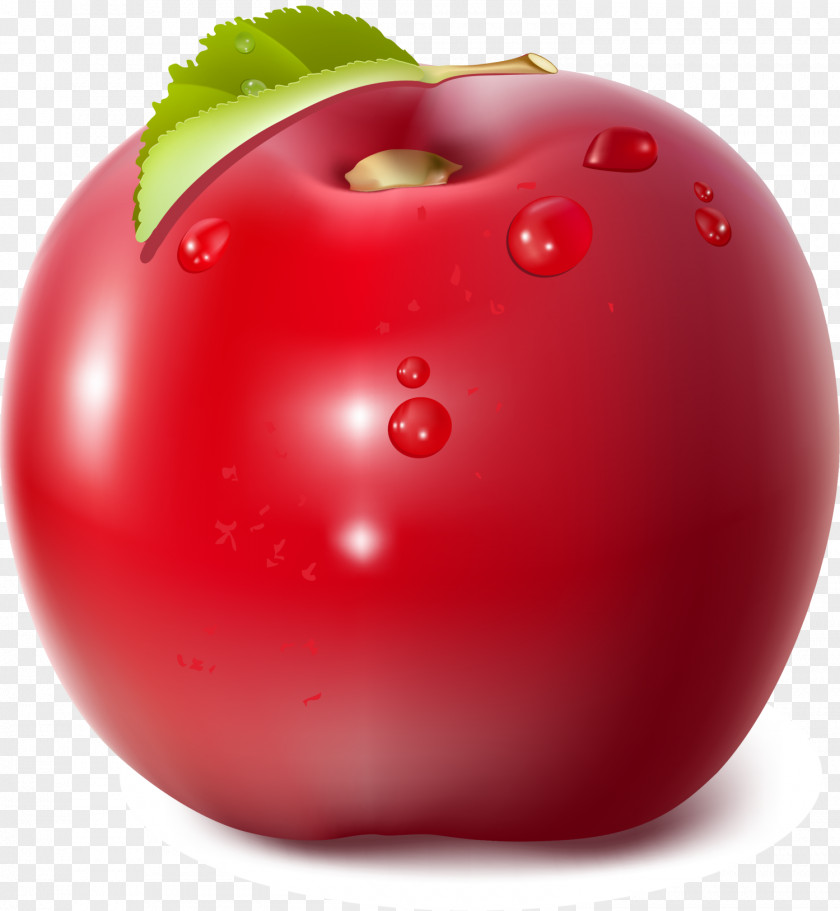 Red Delicious Apple Tomato Clip Art PNG