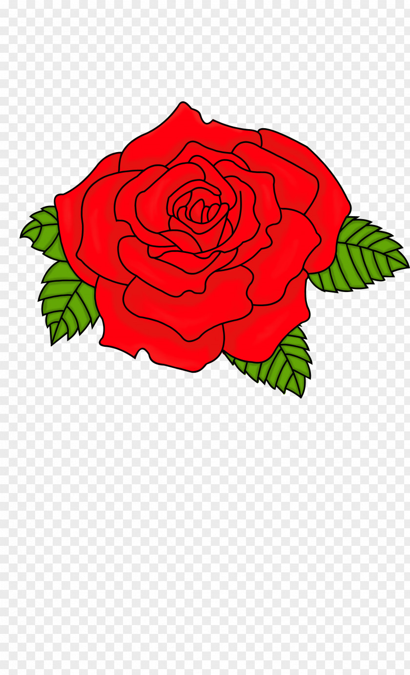 Rose Leslie Flower Garden Roses Clip Art PNG