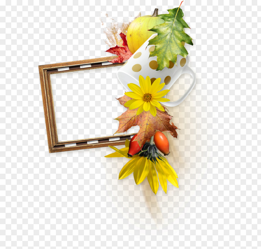 Autumn Frame Floral Design Flower Clip Art PNG