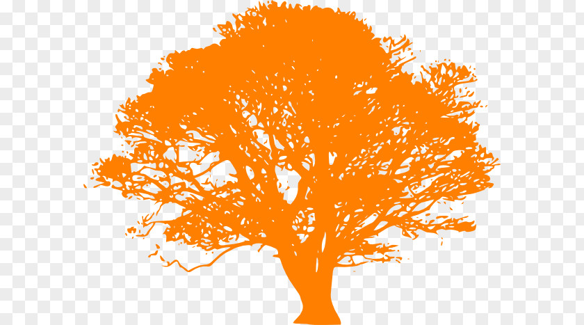 Cartoon Orange Tree Quercus Velutina Clip Art PNG