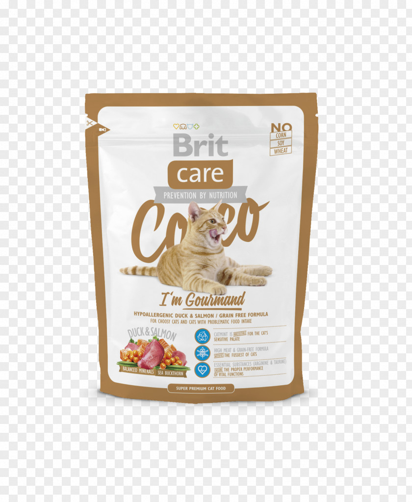 Cat Food Croquette Kitten PNG
