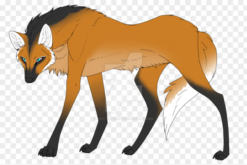 Deer Red Fox Fur Snout PNG