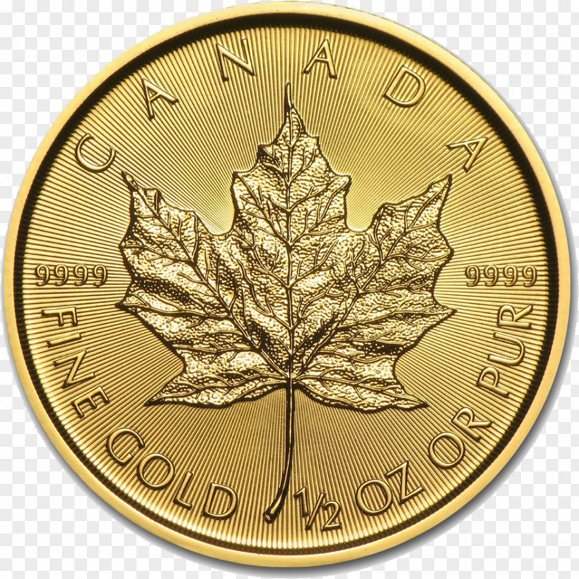 Gold Coins Canadian Maple Leaf Bullion Coin PNG
