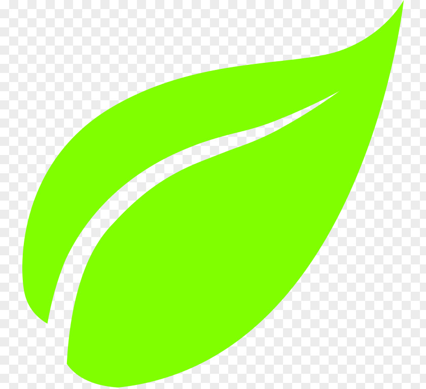Green Leaf Icon Tea PNG
