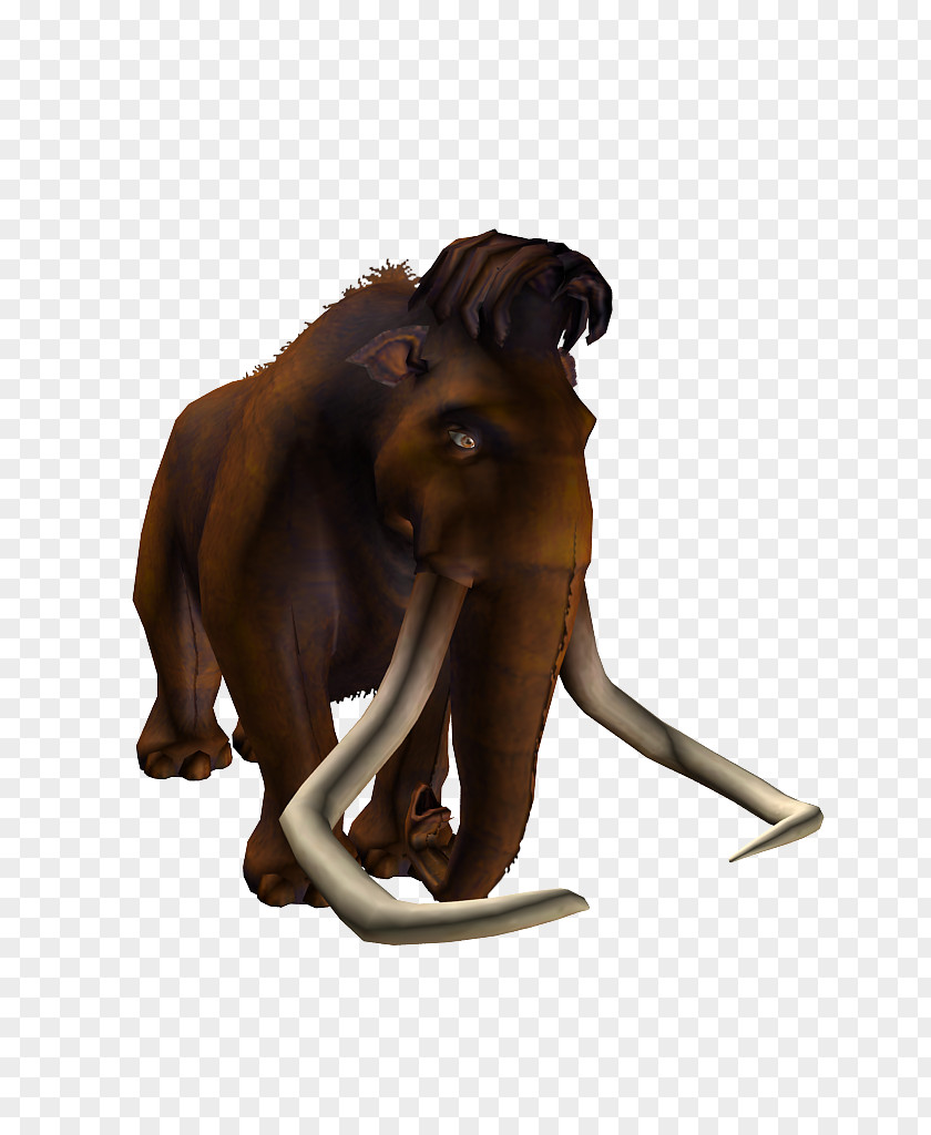 India Indian Elephant Mammoth Lakes Elephantidae Wildlife PNG
