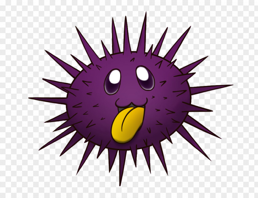 Under Sea Urchin Drawing Coloring Book Clip Art PNG