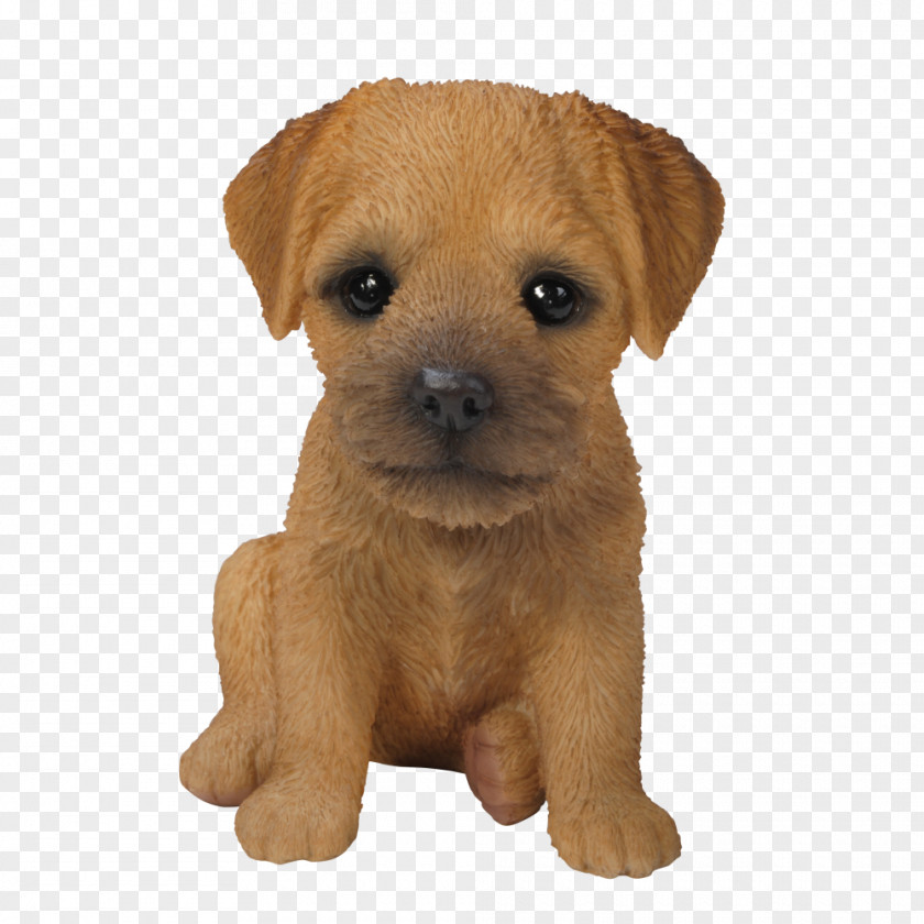 Puppy Border Terrier Yorkshire Airedale Bichon Frise PNG