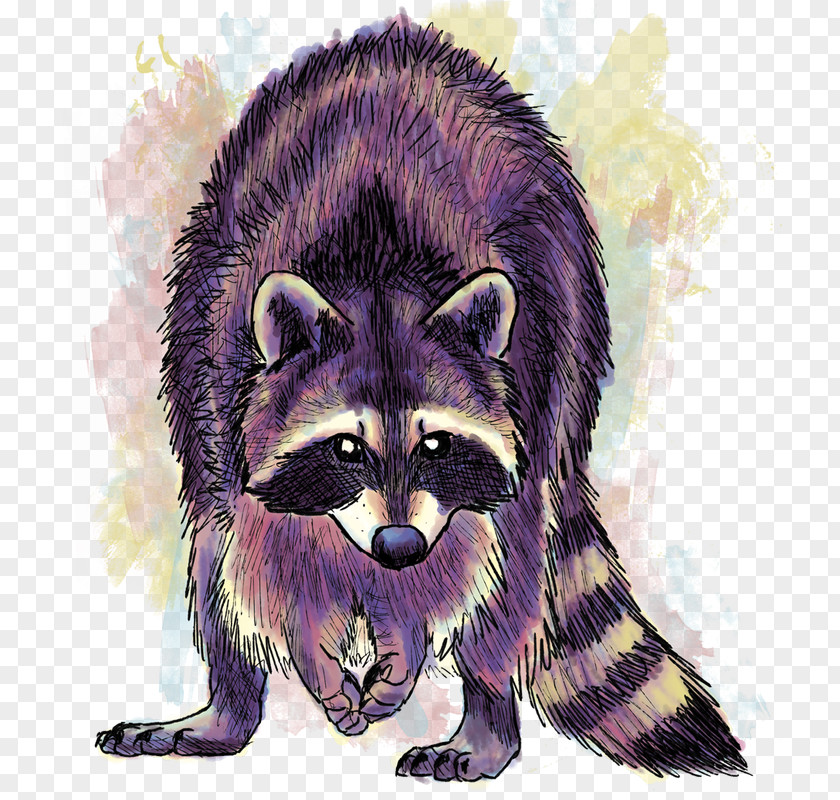 Raccoon City Gray Wolf Drawing PNG