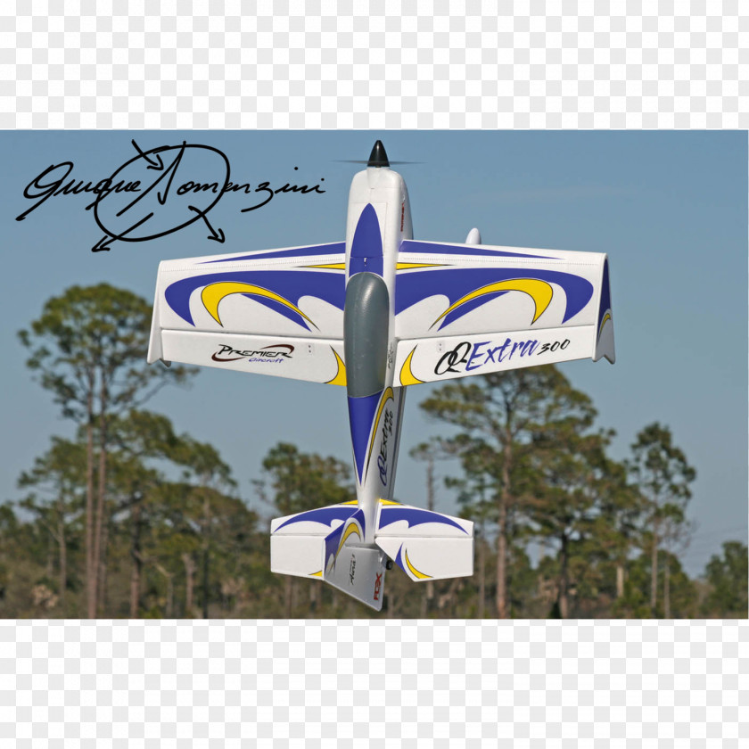 Remote Controlled Aircraft Extra EA-300 Airplane Wing Aerobatics PNG