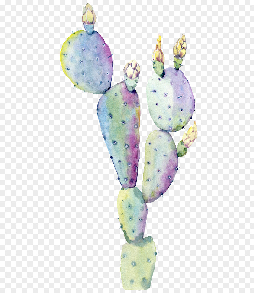 Succulent Clip Art Watercolor Saguaro Painting Cactus Drawing Royalty-free PNG