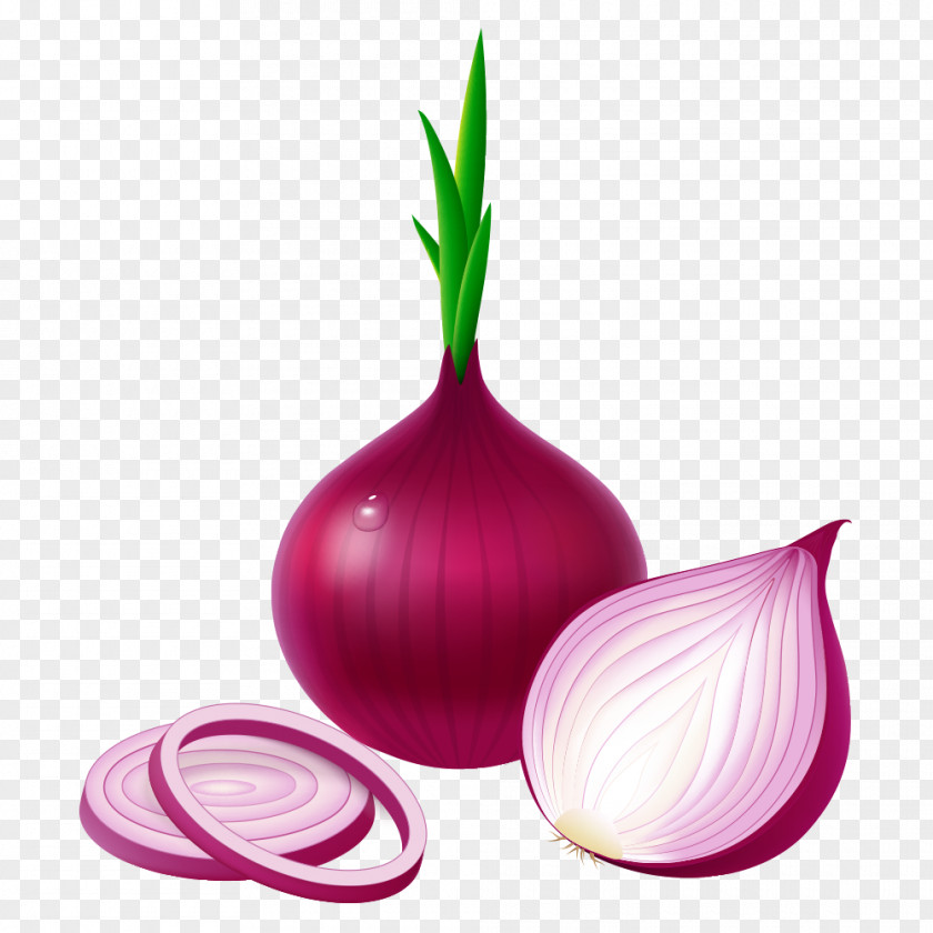 Vector Onions Potato Onion Red Vegetable Garlic White PNG