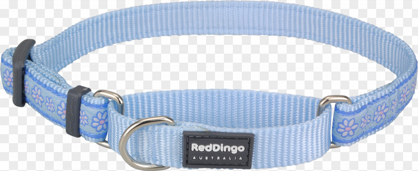 Blue Collar Dog Dingo Martingale PNG