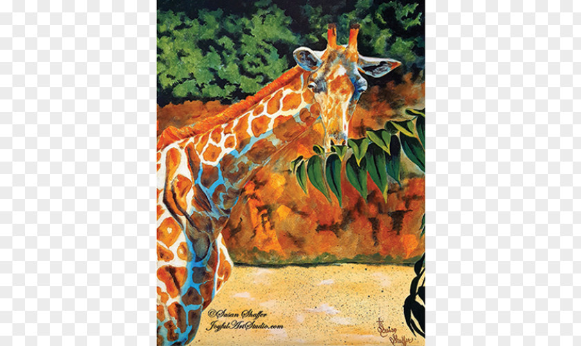 Giraffe Okapi IPhone 4S Rigby 5 PNG