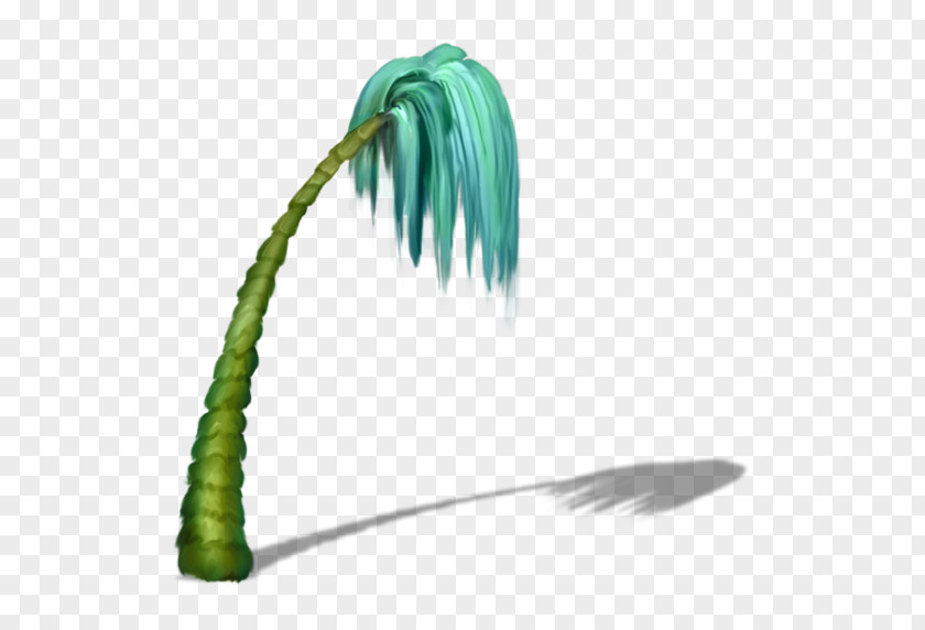 Grass Skirts And Coconuts Plants PNG