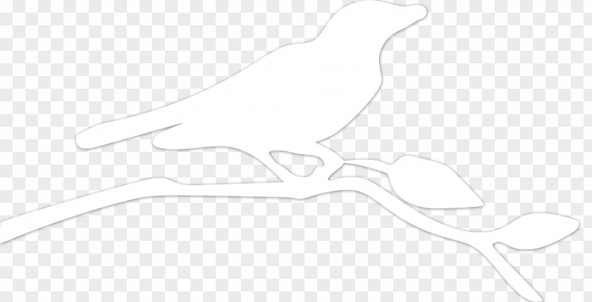 Overlapping Bird Beak Line Art Drawing PNG