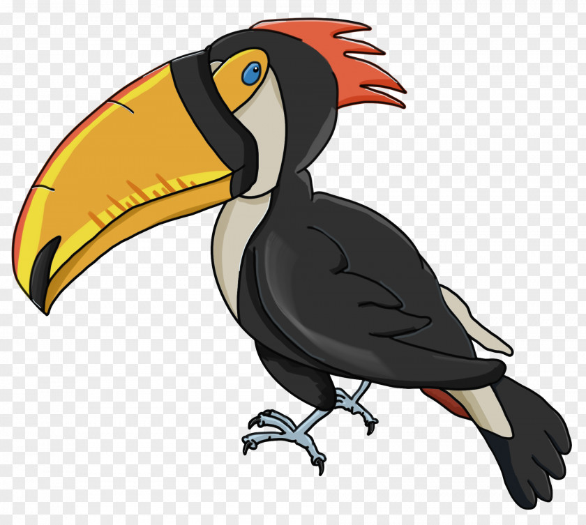 Bird Fly: Parrot Beak Cartoon PNG