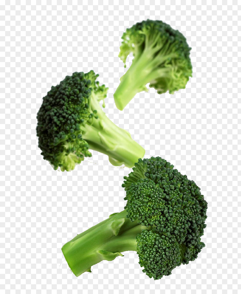 Broccoli Romanesco Cauliflower Vegetable Cabbage PNG
