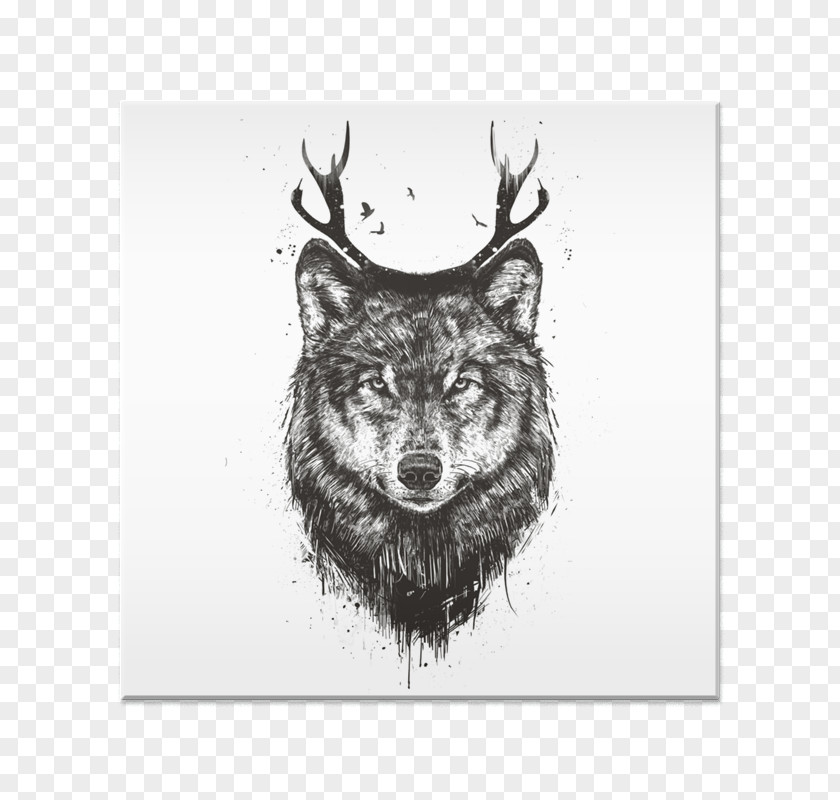 Deer Moose Dog Tapestry Black Wolf PNG