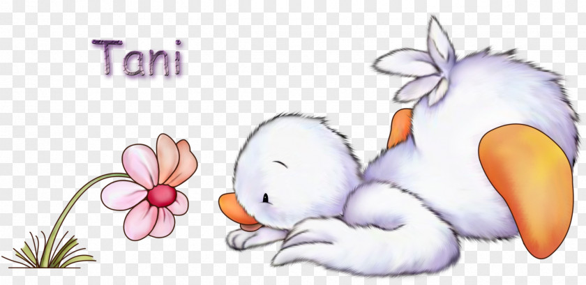 Duckling Clipart Morning Greeting & Note Cards GIF Telegram PNG