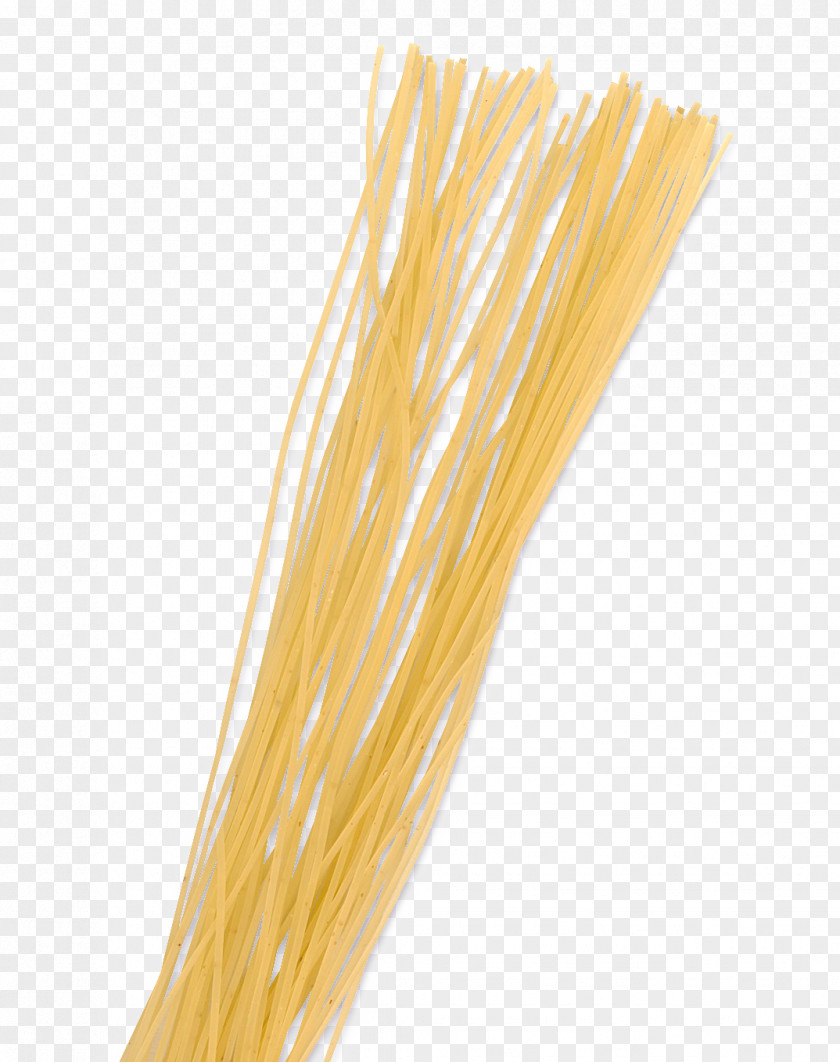 Egg Pasta Vermicelli Noodle Dough Durum PNG