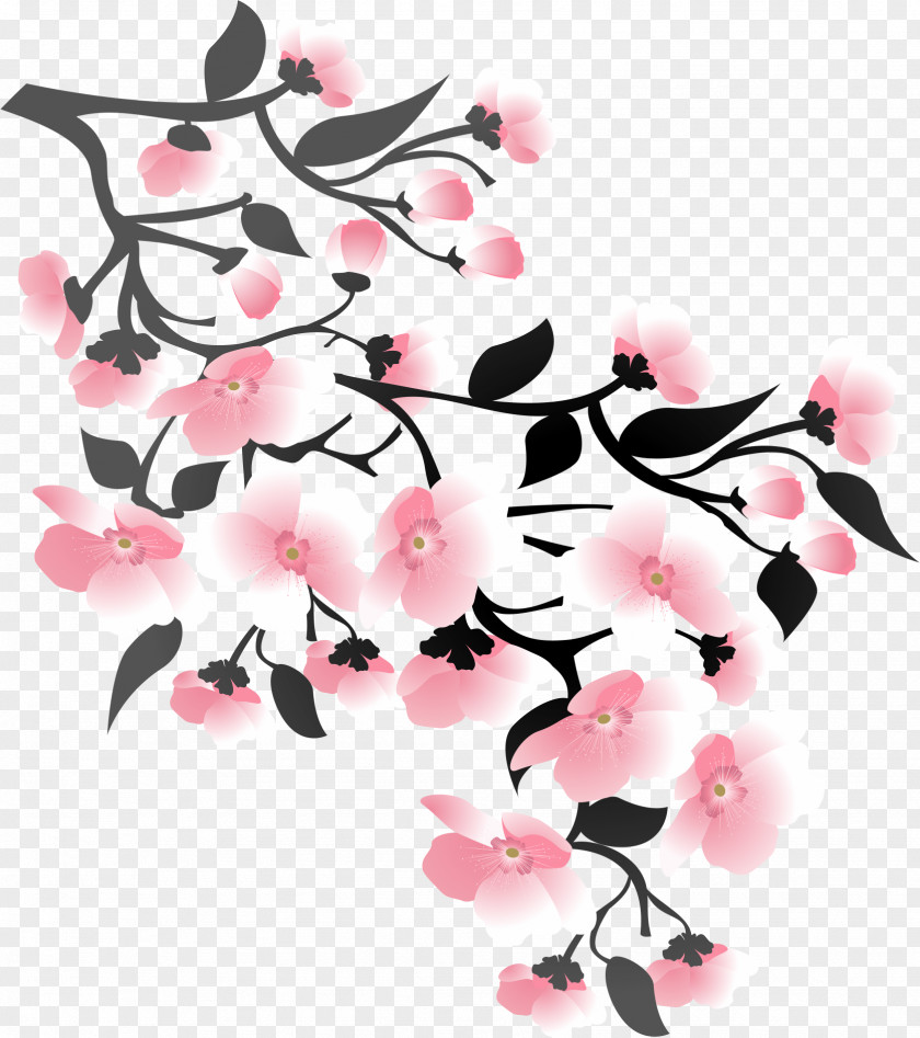 Pink Cherry Blossoms Blossom Cerasus PNG