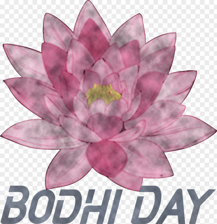 Bodhi Day PNG