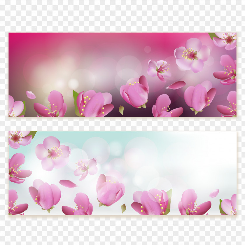Cherry Decorative Background Flower Blossom Download Clip Art PNG