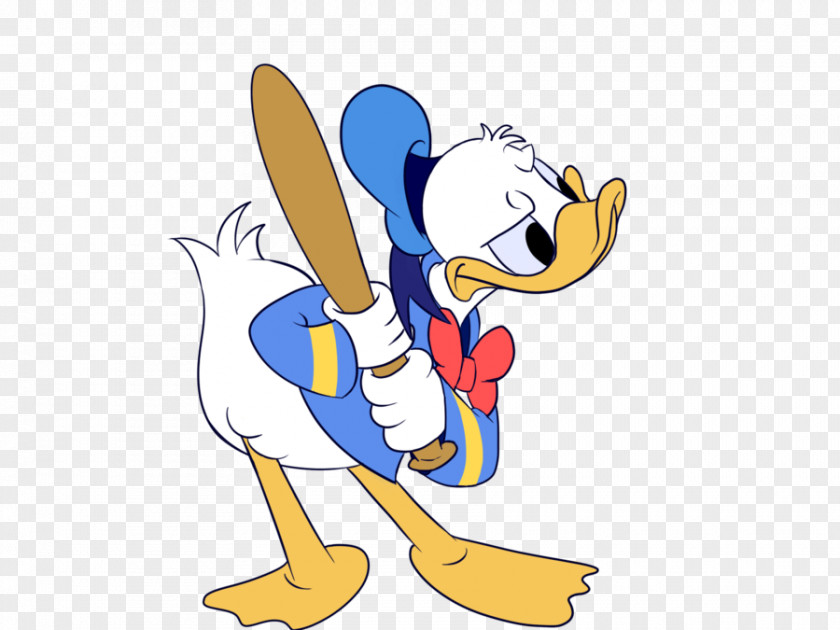 Duck Donald Goose Beak Cygnini PNG