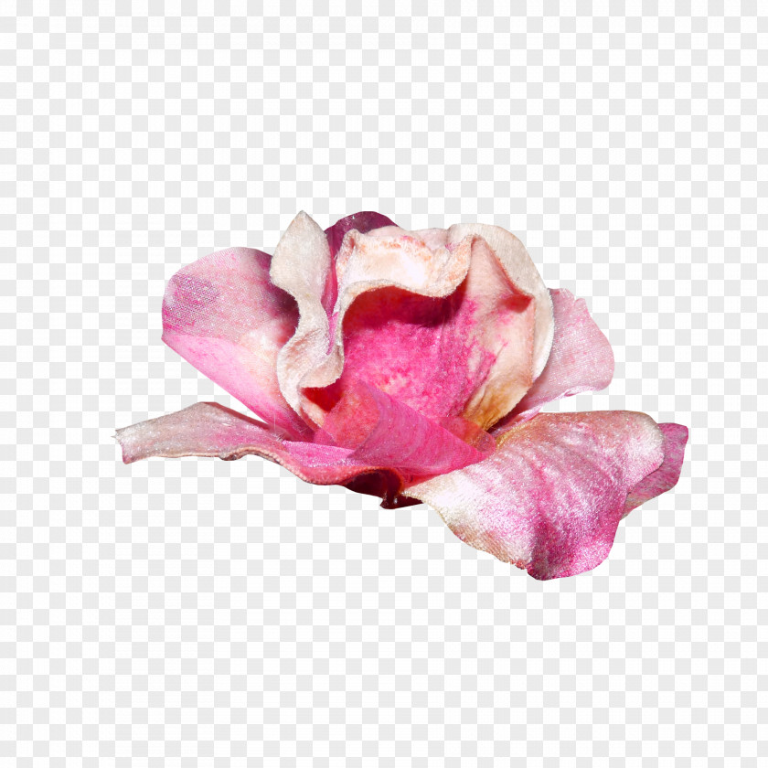 Flower Garden Roses Bouquet Pink PNG