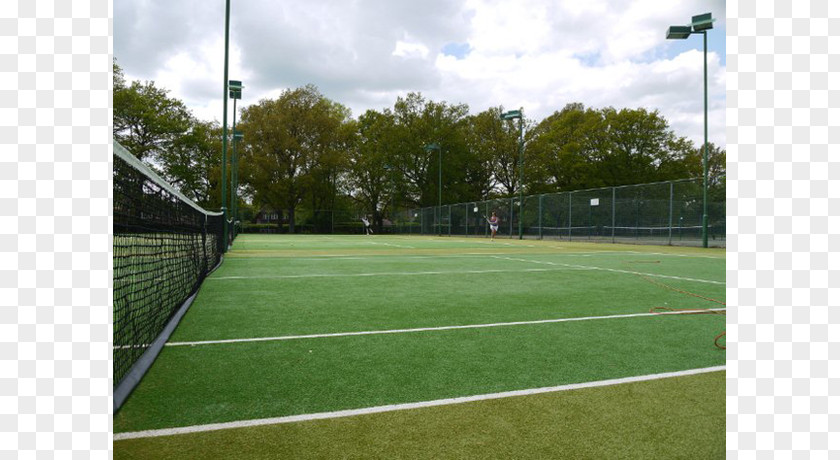 Tennis Centre Ball Game Artificial Turf Sports Venue PNG