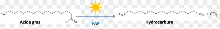 Bacterie Line Angle PNG