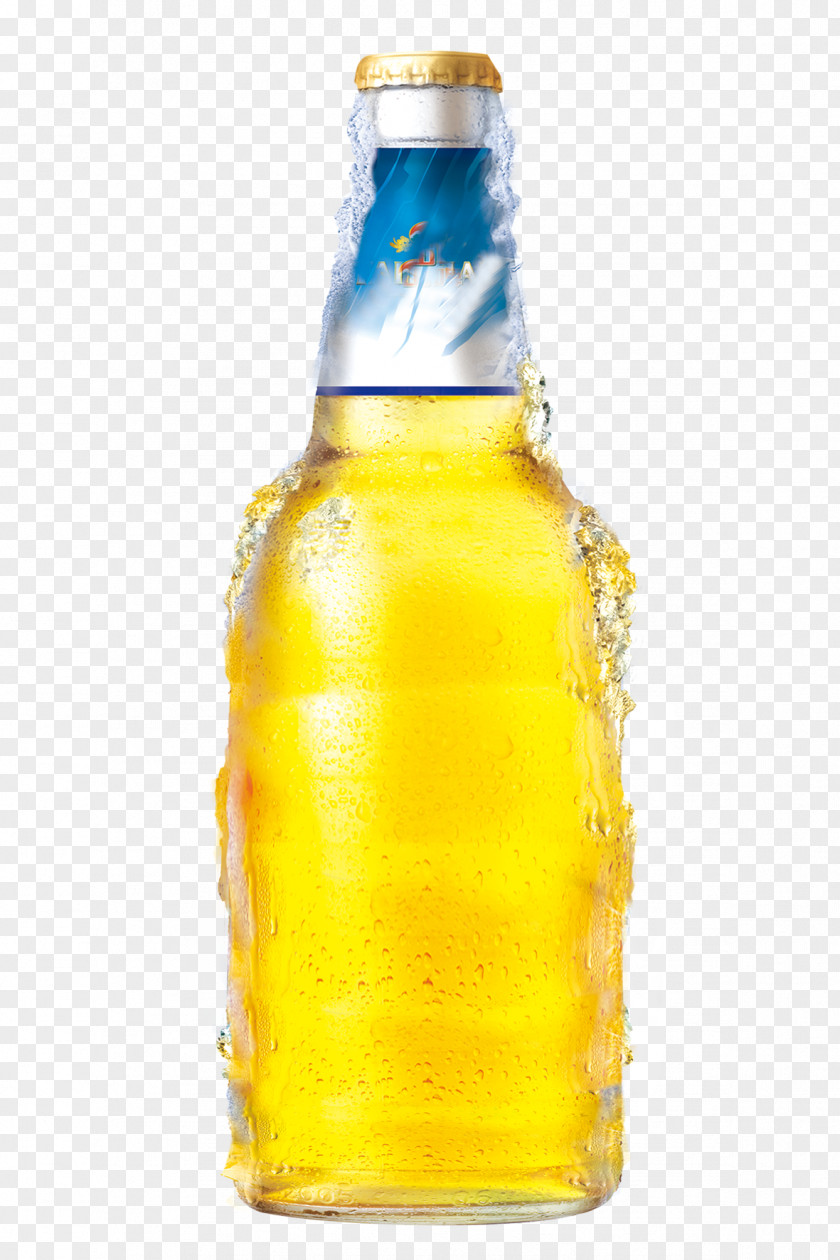 Cold Beer Bottle Liqueur PNG
