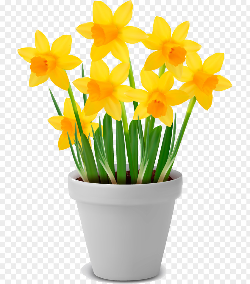 Flower Floral Vase PNG