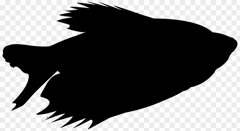 M Beak Clip Art Silhouette Snout Black & White PNG