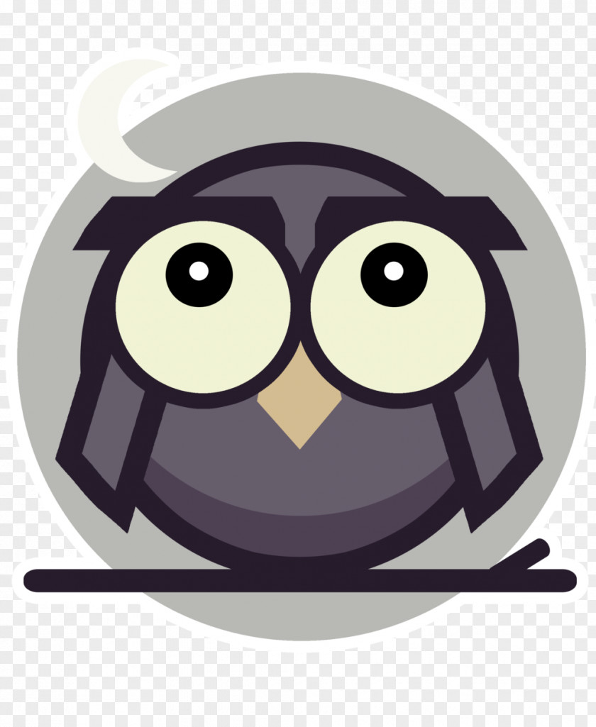 Owl Character Beak Clip Art PNG