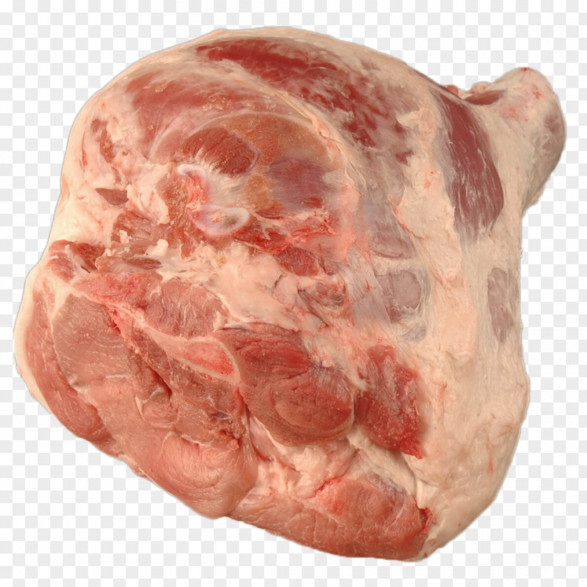 Pork Ham Pig Soppressata Capocollo PNG