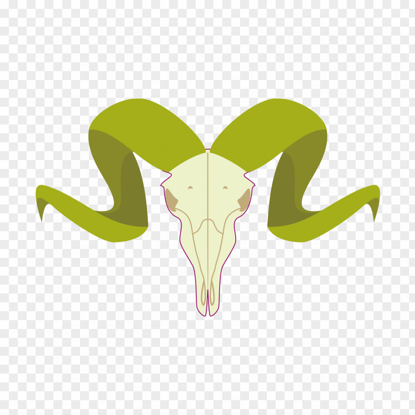 Sheep Head Illustration Design Image PNG