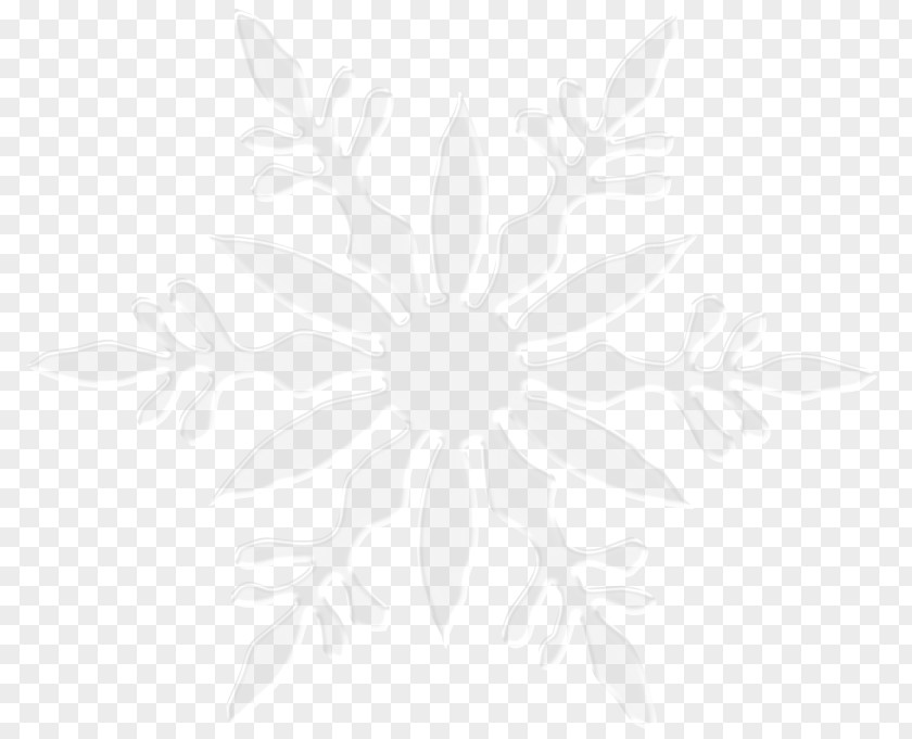 Transparent Snowflake Clipart Symmetry Line Angle Point Pattern PNG