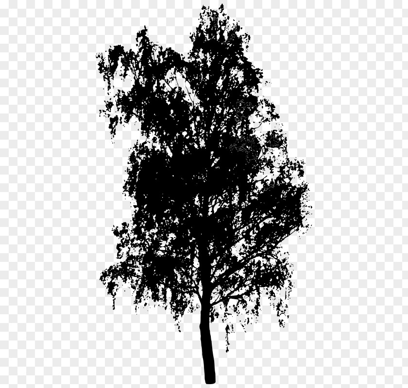 Tree Silhouette Clip Art PNG