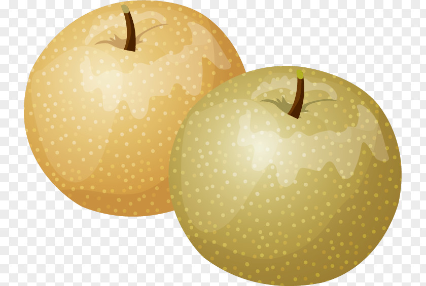 Apple Asian Pear PNG